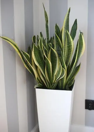 Apartament Holiday Gdynia Apartamento *